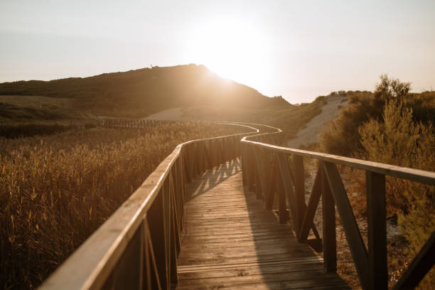 istock Pedestrian walkway made with wood 1272401595
