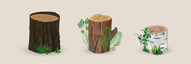 Vector illustration of Realistic wood stumps mockup