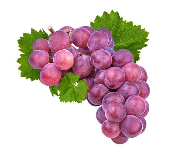 istock Bunch of red grapes with leaves isolated 1272402050