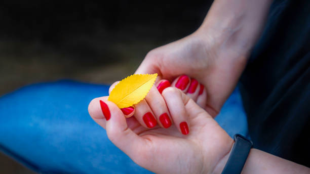 istock Autumn yellow leaf in female hands. Hand holding a leaf 1272402927