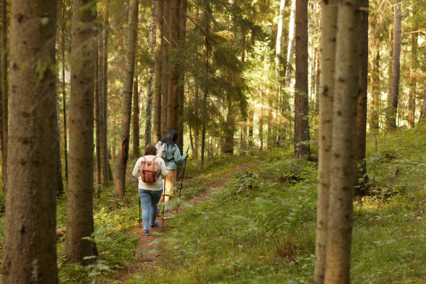 istock Women walking in the forest 1272402997