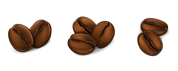 ilustraciones, imágenes clip art, dibujos animados e iconos de stock de grandes granos de café para los amantes del café. ilustración vectorial - menu bean brown caffeine