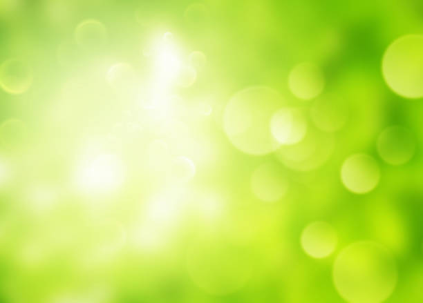 istock Abstract green blurred background with bright bokeh and sunlight. 1272407710