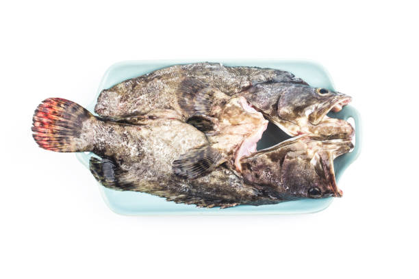 istock A grouper ready to be steamed 1272409294