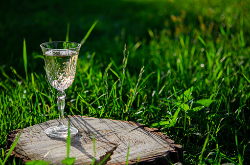 Picnic in the garden. A crystal glass of white wine stands on a wooden stump in the green grass