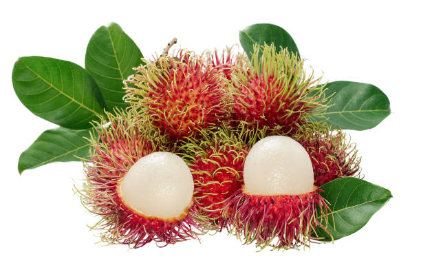 frutti di rumbutan isolati su sfondo bianco - rambutan foto e immagini stock