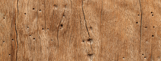 Brown wood texture banner background