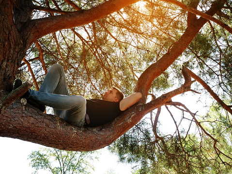 A man is resting lying on a branch in a summer forest.