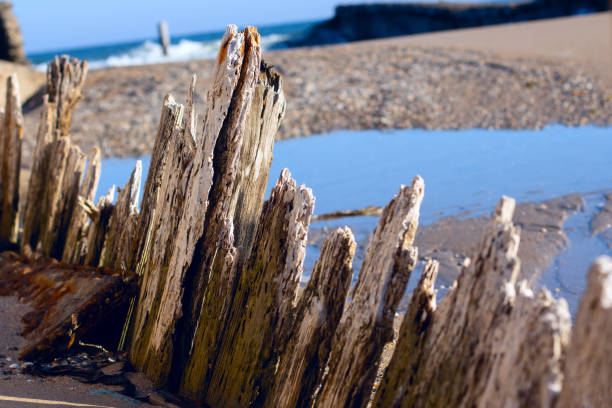 istock Rotten logs of old harbour 1272411498