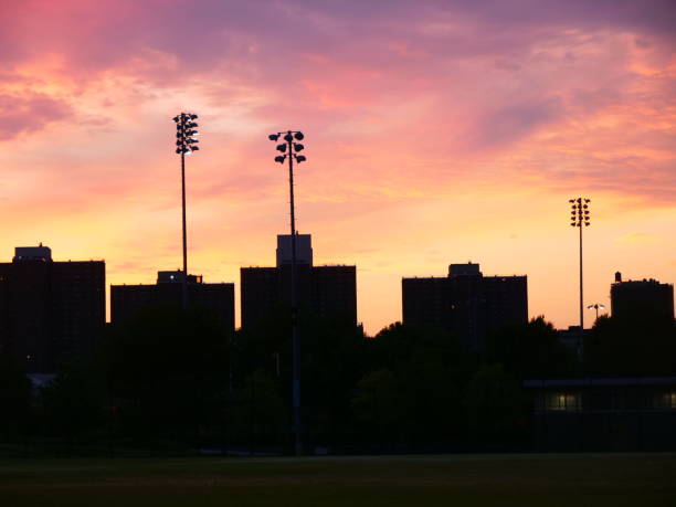 istock Field Of Dreams 1272414136