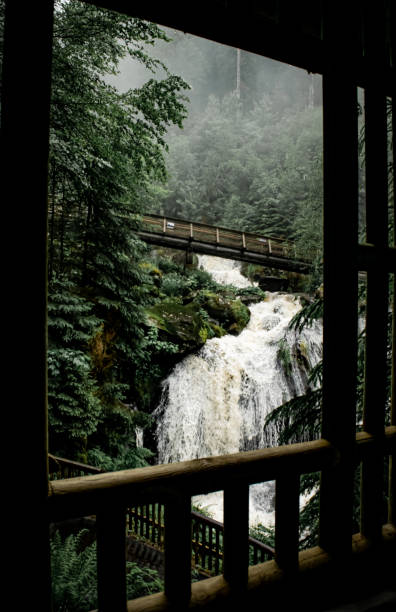 폭포 - black forest waterfall triberg landscape 뉴스 사진 이미지