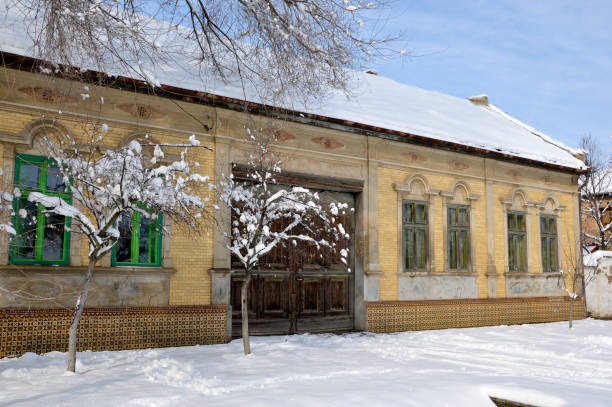 istock winter in Backi Petrovac  in Vojvodina 1272414571
