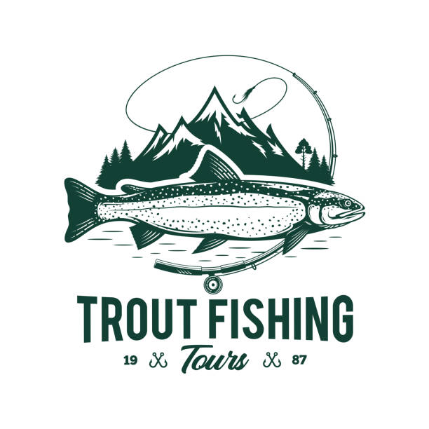 illustrazioni stock, clip art, cartoni animati e icone di tendenza di vettore la trota del lago di trota - trout