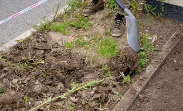 spade, engraving, nature, plant, green, garden, agriculture, field, soil, grass, vegetable, ground, dirt, farm, earth, road, food, tree, forest, spring, rural, leaf, organic, gardening, summer, outdoors, natural, engrave, metal, brown, gardener, pants, man, men, working, disintegrate, lumps, planting, flowerbed, before, turn, dry, weed, shoes, leather, covid 19, coronavirus