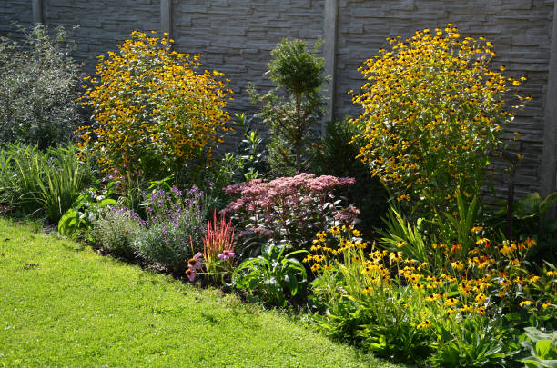 午後の太陽の下で花の形をした花壇を備えた庭の配置 - succulent plant sedum temperate flower perennial ストックフォトと画像