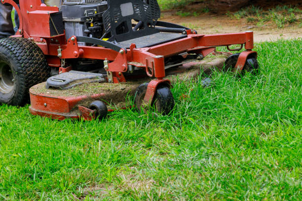 istock Man worker cutting grass in summer with a lawn mower 1272417074