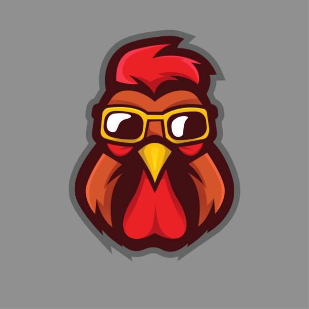 Rooster wearing glasses Rooster wearing glasses mascot logo design vector with modern illustration concept style for badge, emblem and t shirt printing cartoon of bird with glasses stock illustrations
