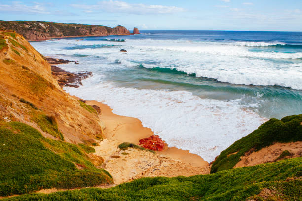 istock Cape Woolami in Victoria Australia 1272424484