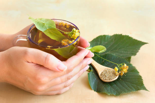 Woman hands hold a cup of linden tea Woman hands hold a glass cup of linden tea or blooming tilia to warm up. Hot drink winter herbal tea concept, Treatment of cold and flu autumn copy space rural scene curing stock pictures, royalty-free photos & images