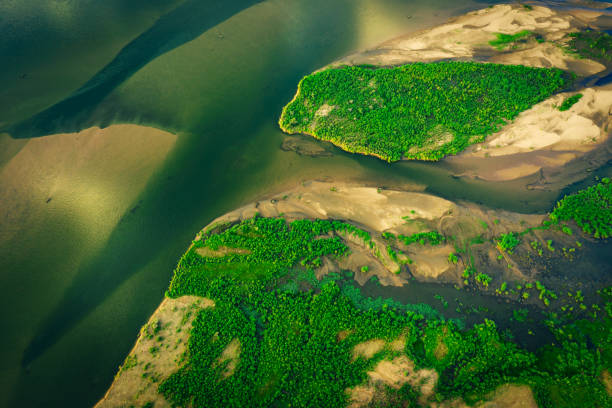 sandbars in river of lower zambezi area in Zambia, Africa sandbars in river of lower zambezi area in Zambia, Africa flood plain photos stock pictures, royalty-free photos & images