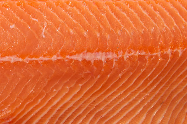 istock Abstract background of salmon 1272435520
