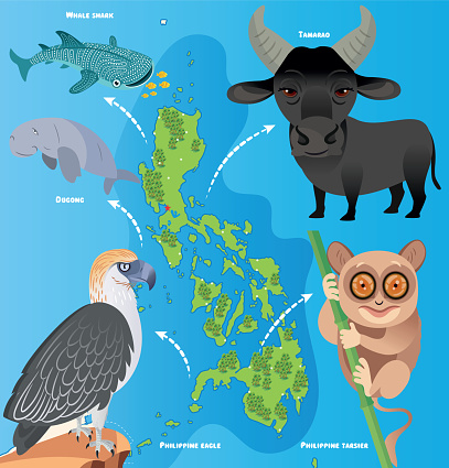 Vector Philippines Animals and Map