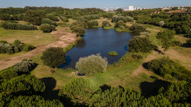 istock City Park, Porto 1272435742