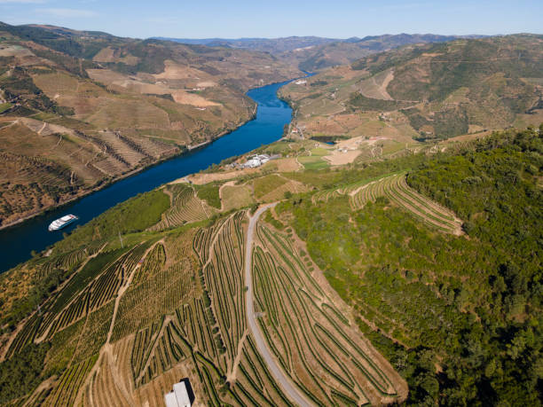 istock Douro Valley From the Viewpoint of S. Leonardo da Galafura 1272435932