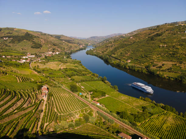 valle del douro vicino a mesão frio con una barca turistica - the douro foto e immagini stock