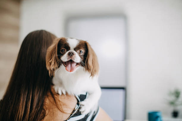 istock Young woman working at home 1272438559