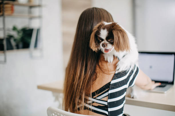 istock Young woman working at home 1272438620
