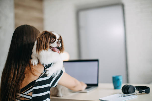 istock Young woman working at home 1272438643