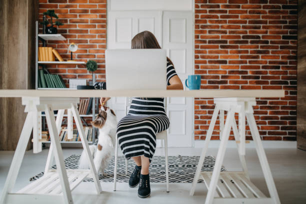 istock Young woman working at home 1272438705