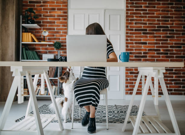 istock Young woman working at home 1272438749