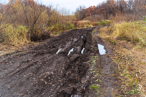 An impassable road, off-road track in autumn forest. Deep ruts in the slushy autumn road