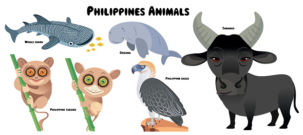 Philippines Animals Stock Illustration - Download Image Now - Dugong, Whale  Shark, Eagle - Bird - iStock