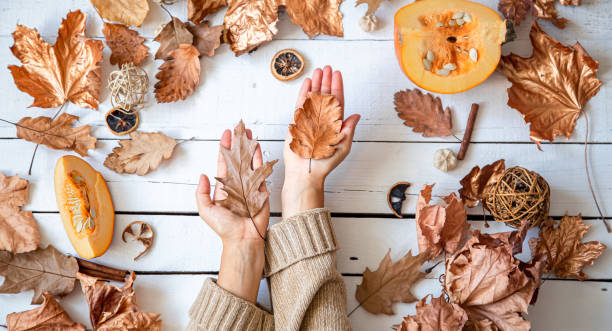 istock Autumn composition with dry leaves and women's hands 1272442138