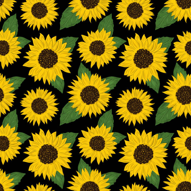Seamless Outlined Cartoon Sunflower Background Illustrations, Royalty-Free Vector Graphics & Clip Art - iStock Seamless Outlined Cartoon Sunflower Background Illustrations, Royalty-Free Vector Graphics & Clip Art - iStock
