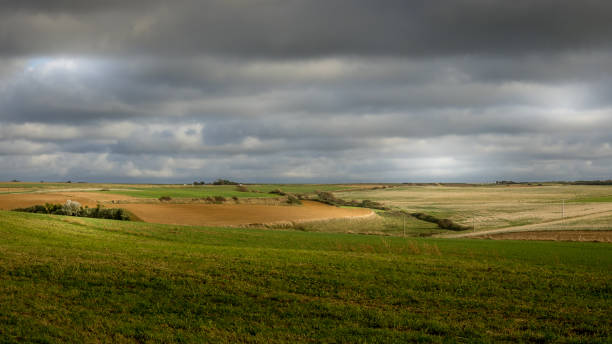 istock Country, priaries and fields on the opal coast 1272444077