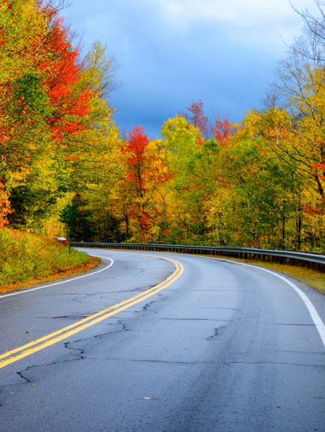 istock Road in Autumn, New England. 1272445513