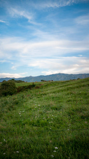 istock Sierra in the background from Green Prairie 1272447433