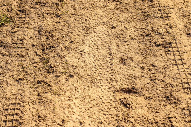 istock Sandy bike track 1272449181