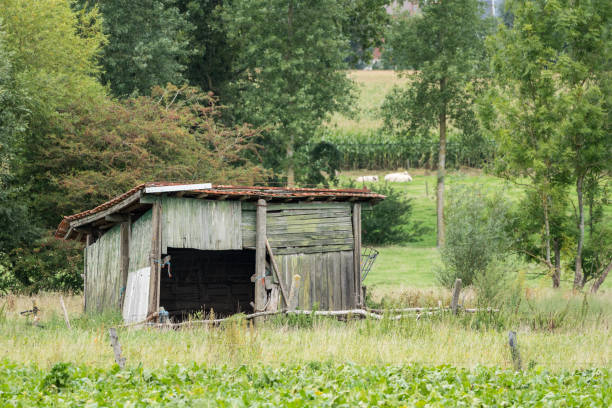 istock Old barn in the meadow 1272453572