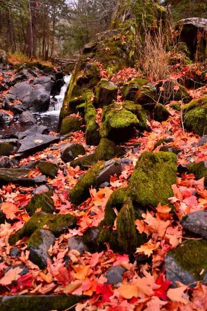 Photo of Kakabika Falls area on the Cisco Branch of Ontonagon River