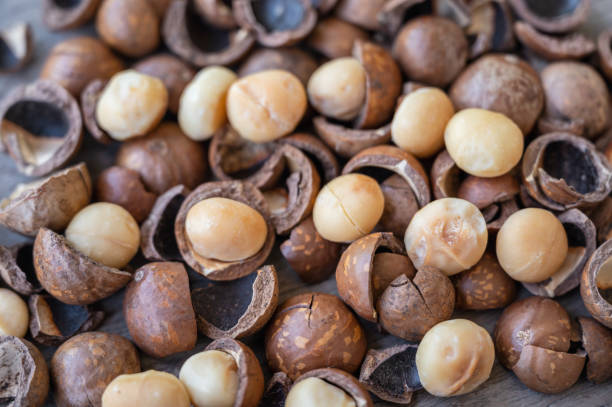 istock Organic Macadamia nuts and shell on wooden table 1272457660