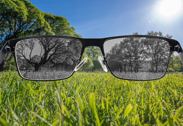 istock Looking through glasses to bleach nature landscape. Color blindness. World perception during depression. Medical condition. Health and disease concept. 1272458816