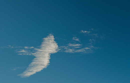 A beautiful cloud with the shape of a bird in the sky of Mexico