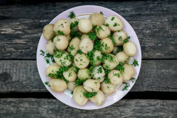 Fresh young boiled potatoes with dill.simple rural dish.wooden background.top view