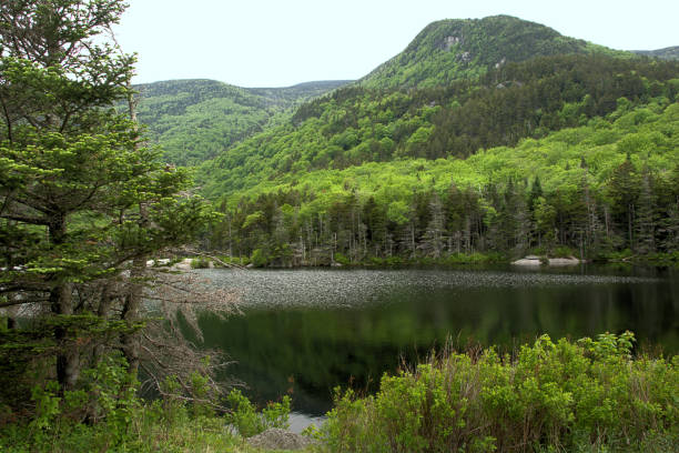 istock Mount Moosilauke and Beaver Pond in Spring 1272461747