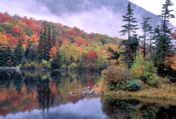 istock Reflections of Fall Foliage on Beaver Pond in Kinsman Notch 1272462389